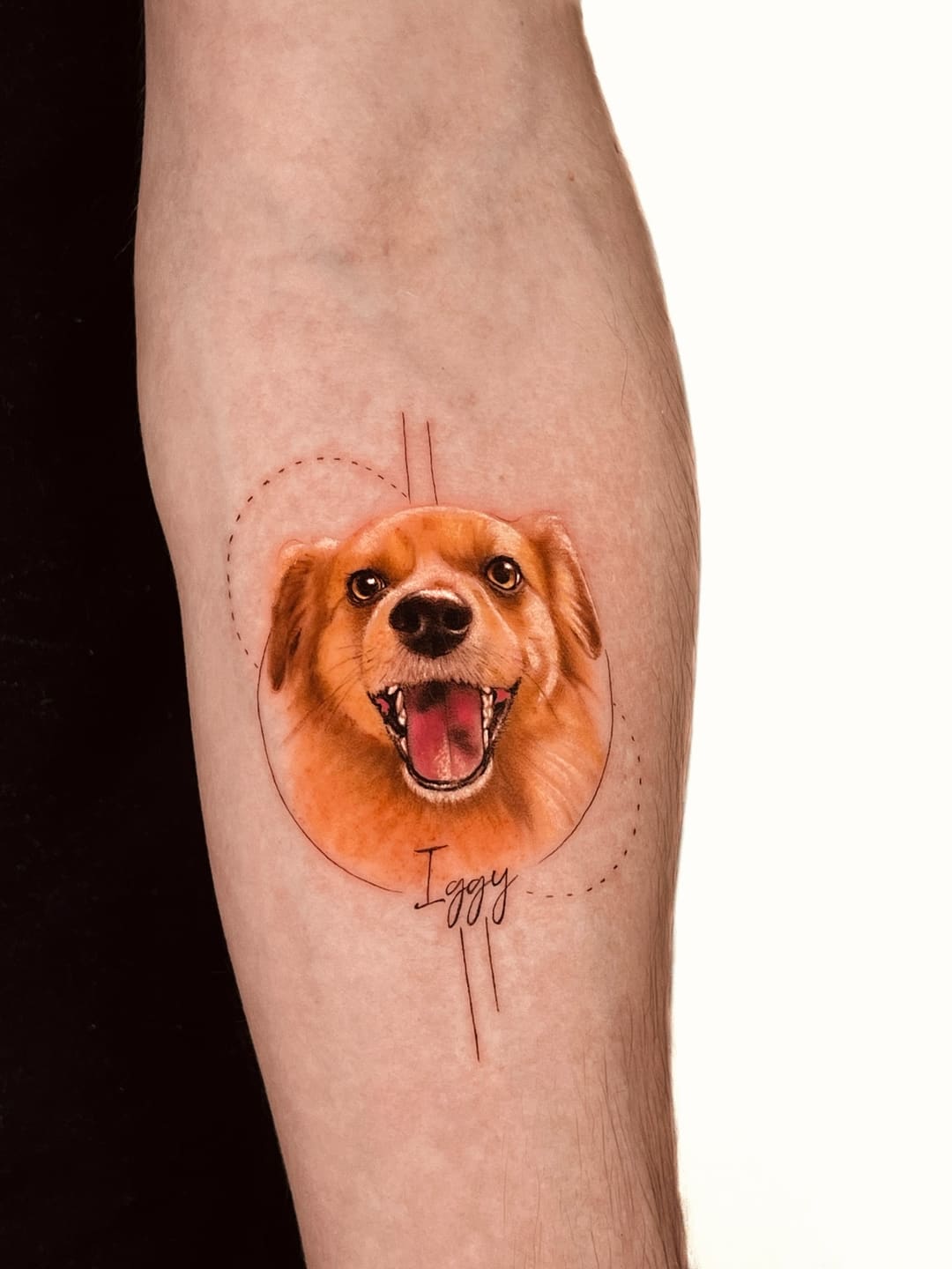 Iggy, tatuagem Retrato Pet por Júlia Freire