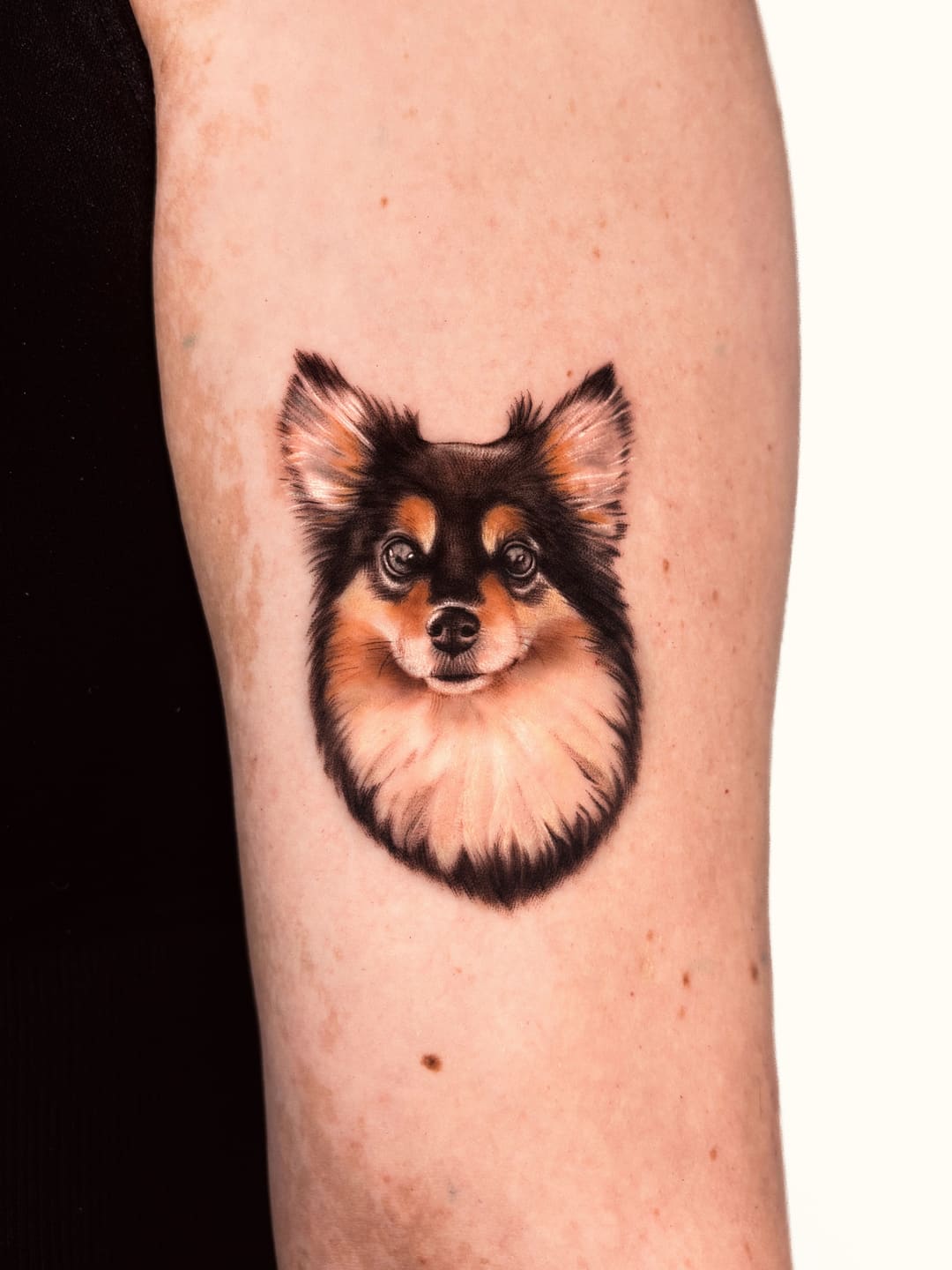 Meg, tatuagem Retrato Pet por Júlia Freire